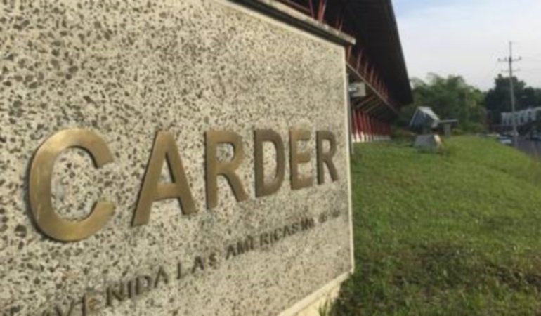 Procesadas 78 personas por daños a la naturaleza: CARDER