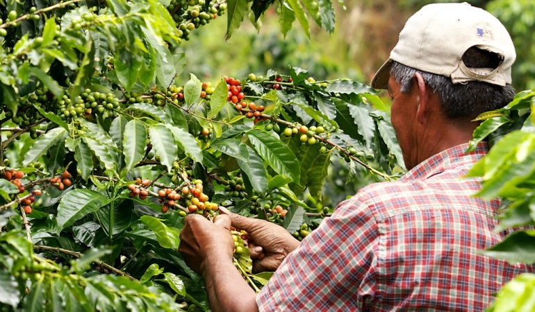 El campo se reactivará con una inversión de $130.000 millones